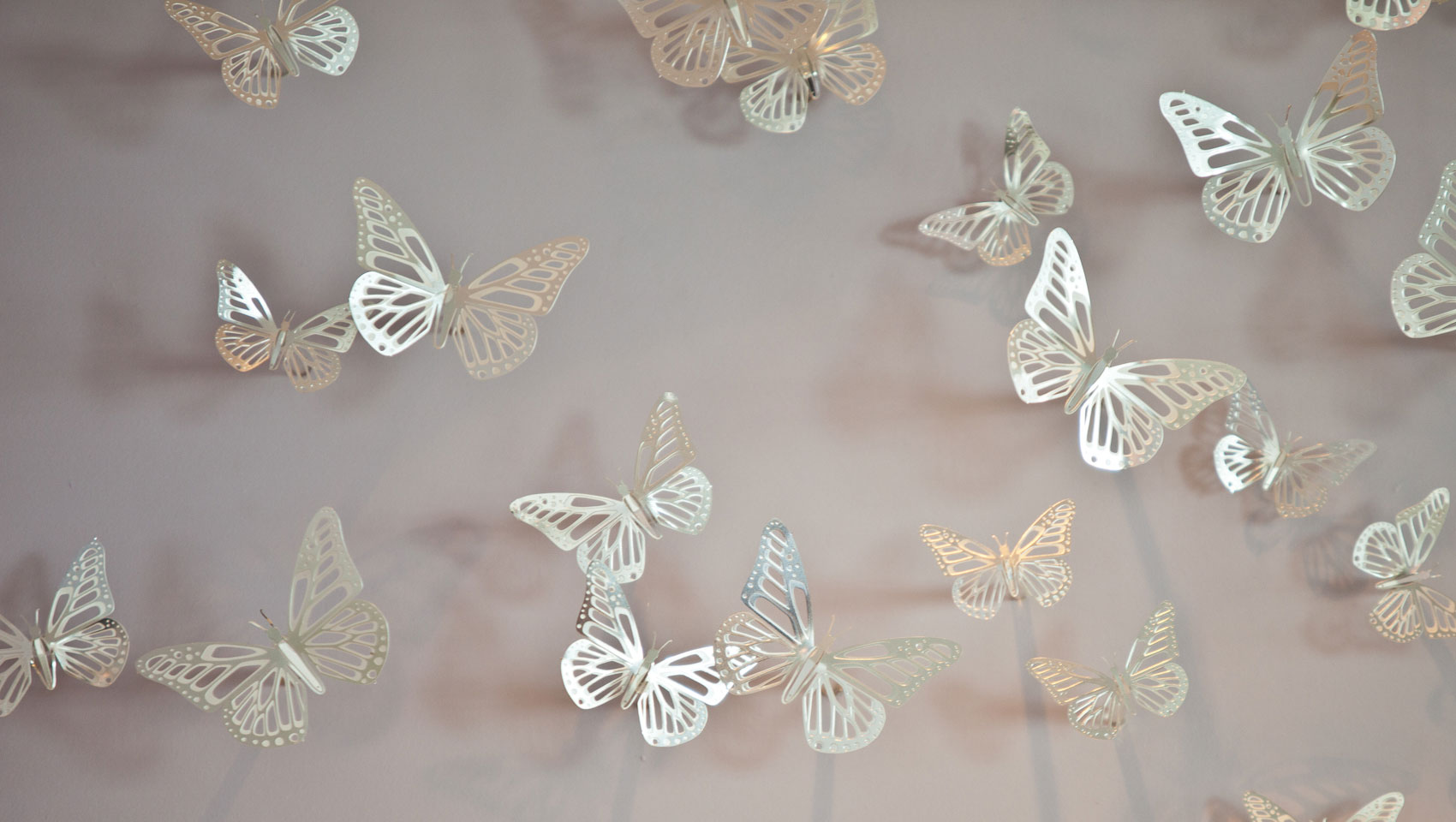 Kimpton Surfcomber Hotel butterfly wall